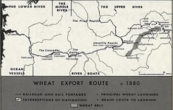 Wheat Map